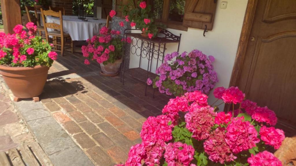 Excepcional Casa El Olivo Villa Ojedo Eksteriør billede