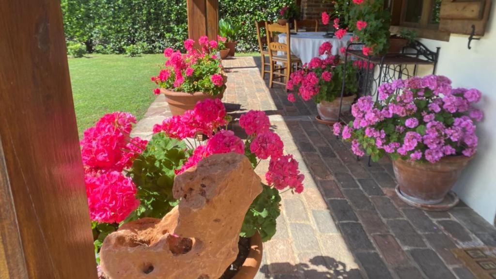 Excepcional Casa El Olivo Villa Ojedo Eksteriør billede